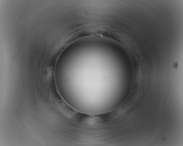 X0000113610278200909251150