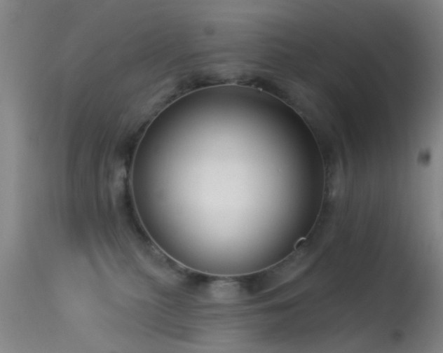 X0000113610279200909251150