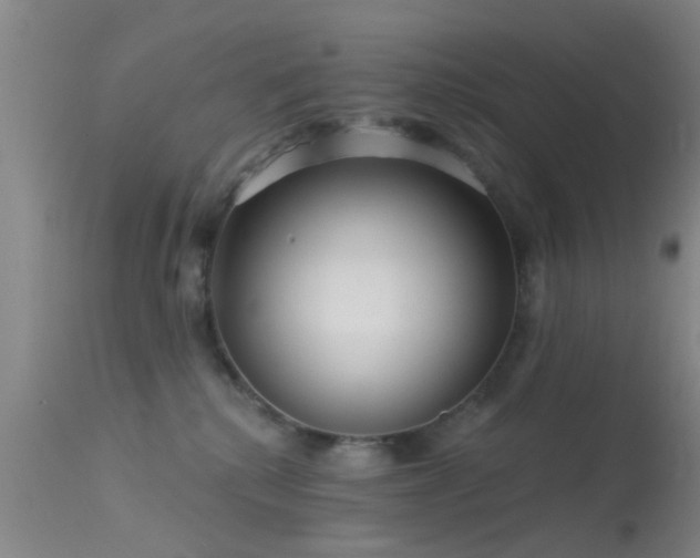 X0000113610280200909251150