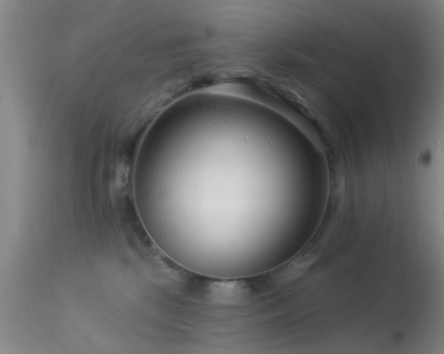 X0000113610281200909251150