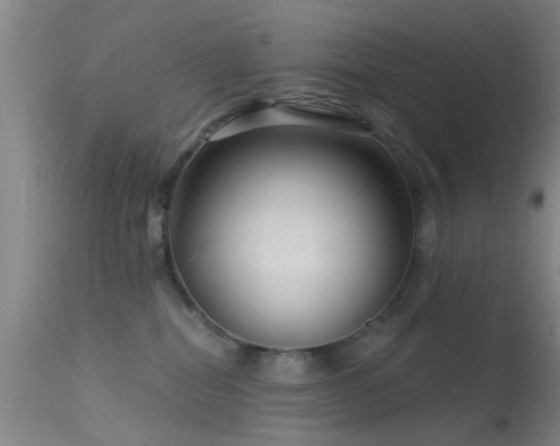 X0000113610282200909251150