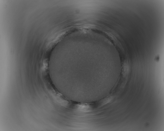 X0000113610284200909251150