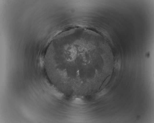 X0000113610285200909251150