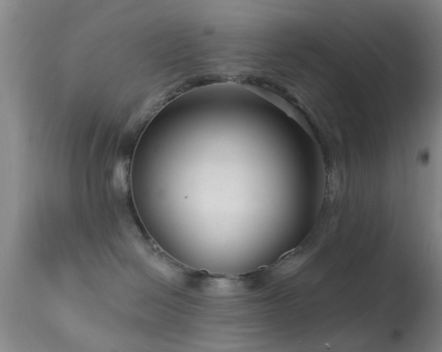 X0000113610286200909251150