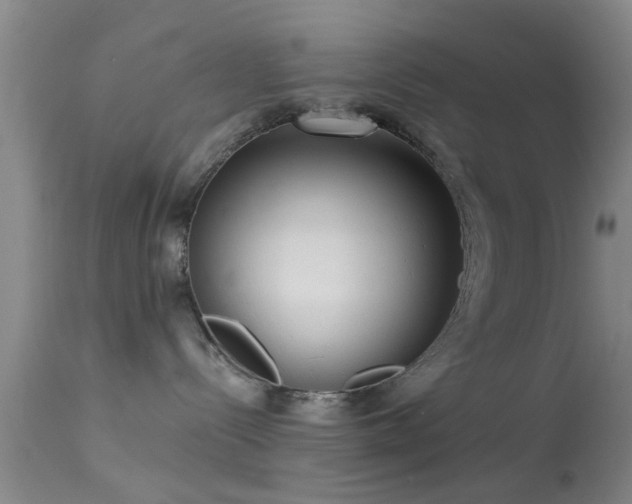 X0000113610288200909251150