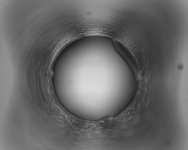 X0000113610289200909251149