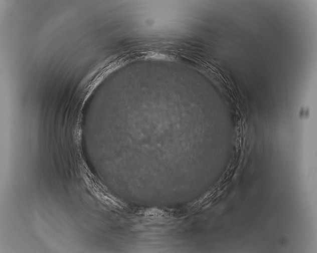 X0000113610290200909251149