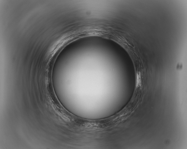 X0000113610291200909251149