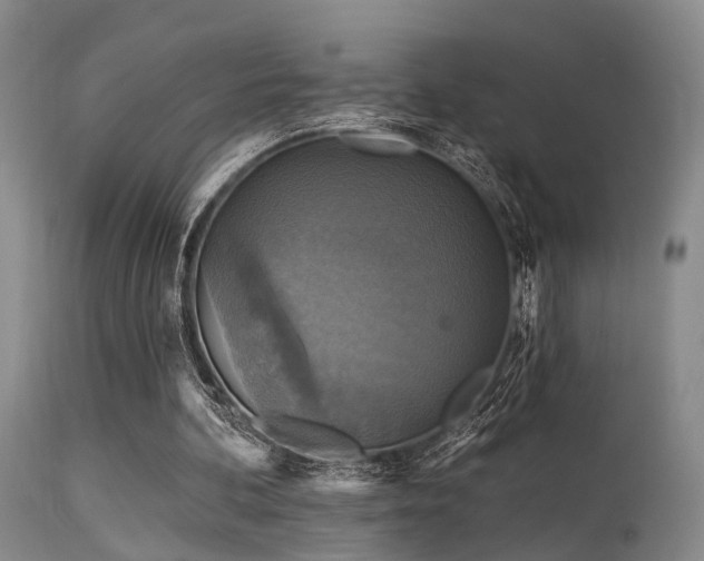 X0000113610292200909251149