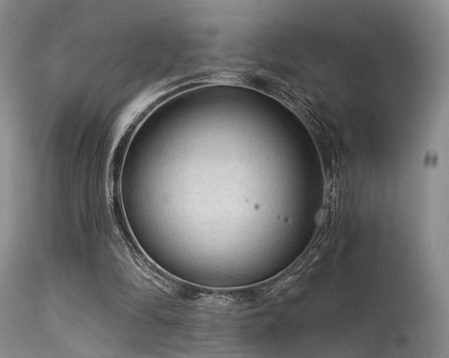 X0000113610294200909251149