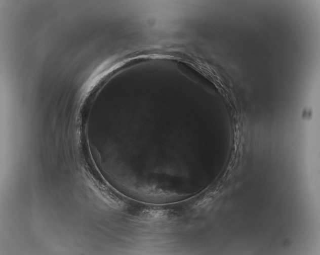 X0000113610295200909251149