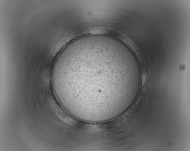 X0000113610297200909251149