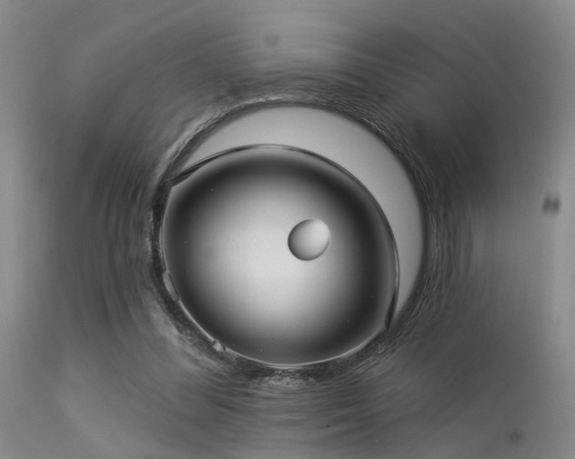 X0000113610300200909251149