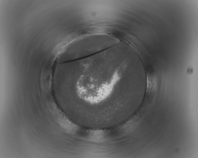 X0000113610301200909251149