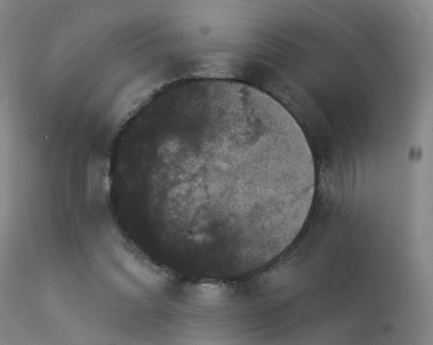 X0000113610302200909251149