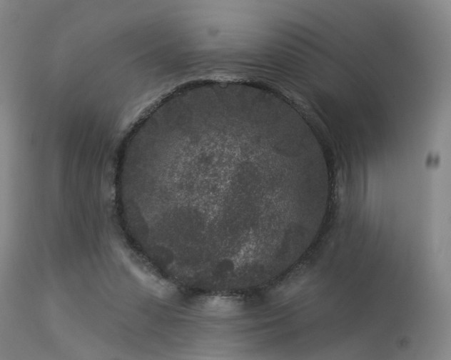 X0000113610303200909251149