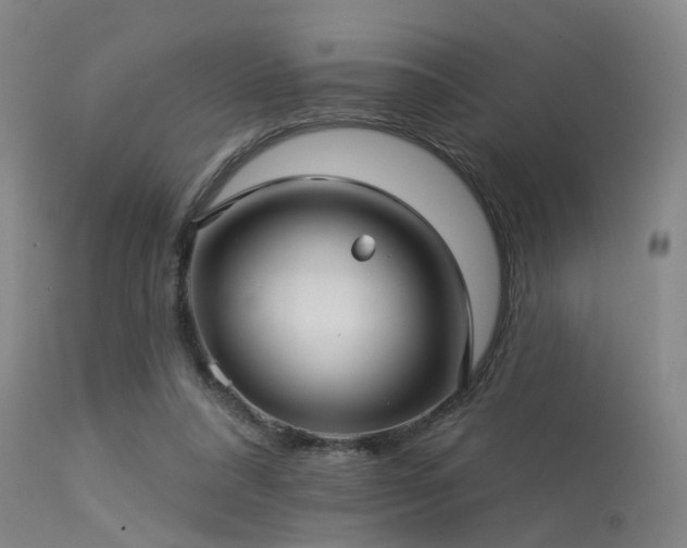 X0000113610304200909251149