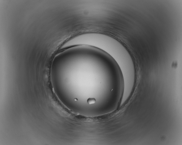 X0000113610305200909251149