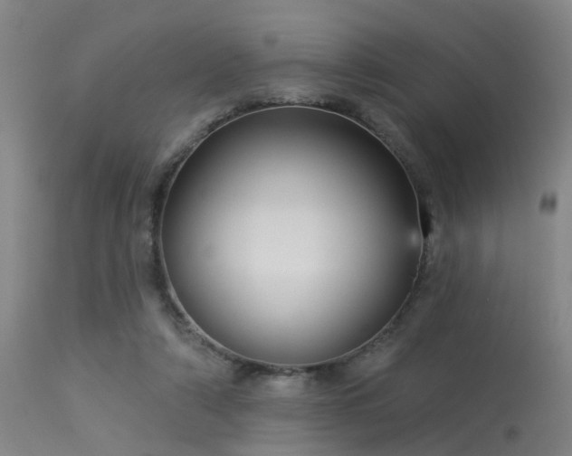 X0000113610306200909251149