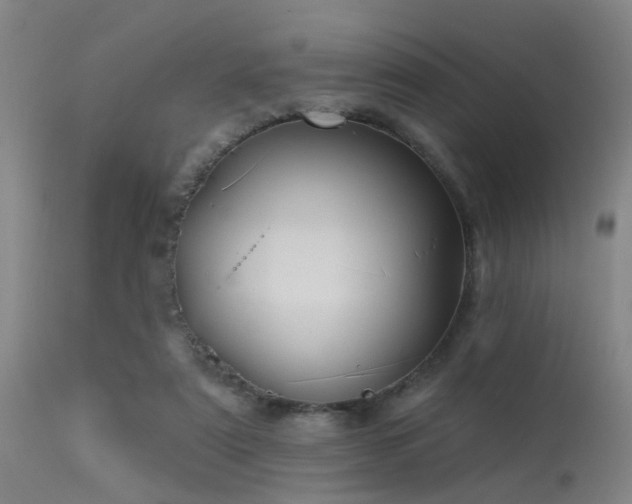 X0000113610307200909251149