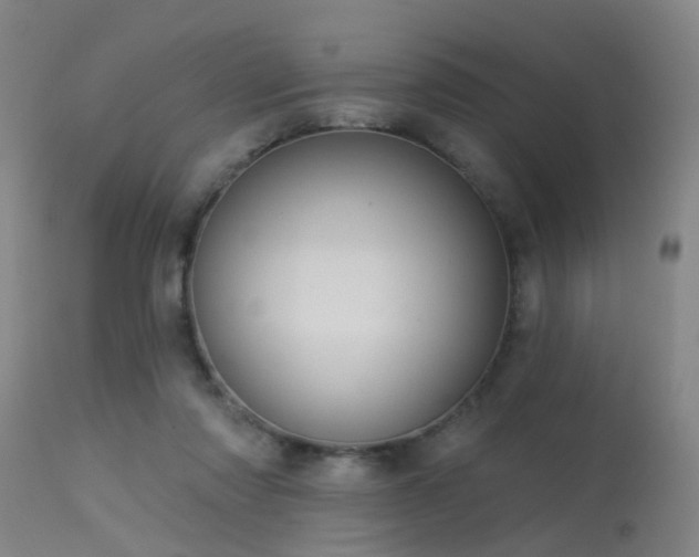 X0000113610310200909251149