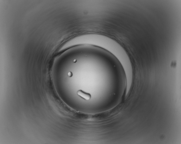 X0000113610312200909251149