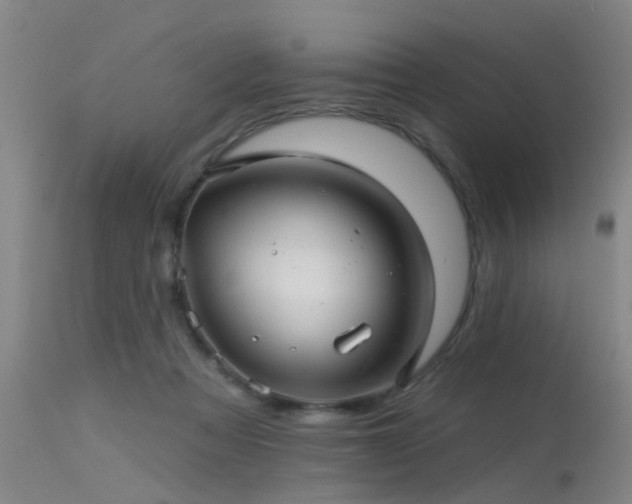 X0000113610313200909251149