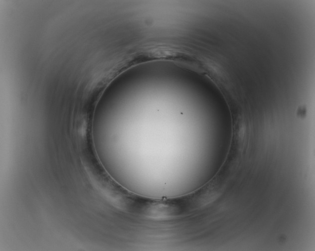 X0000113610315200909251149