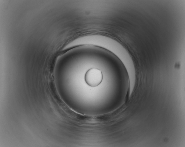 X0000113610316200909251149