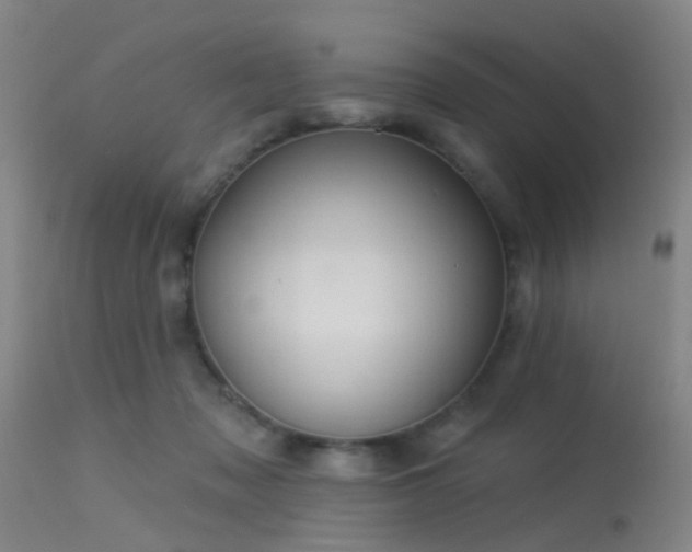 X0000113610317200909251149