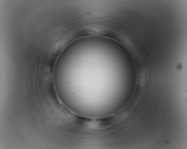 X0000113610318200909251149