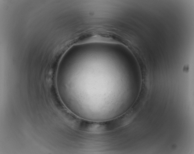 X0000113610319200909251149