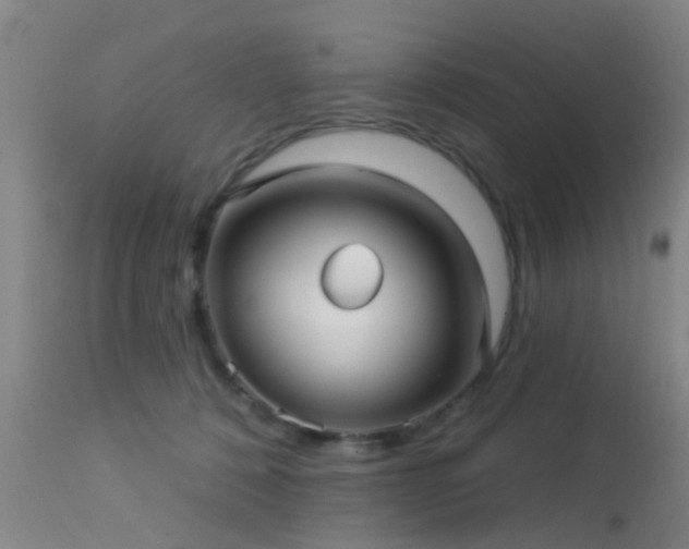 X0000113610320200909251149