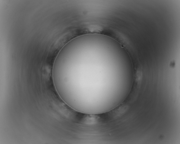 X0000113610321200909251149