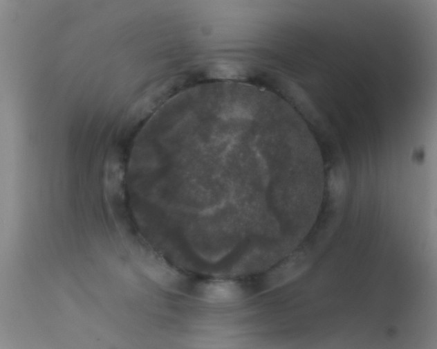 X0000113610322200909251149