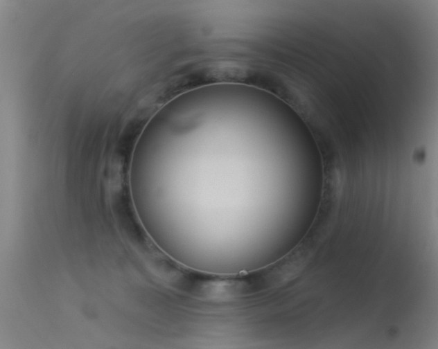 X0000113610323200909251149