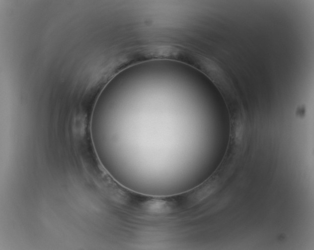 X0000113610326200909251149