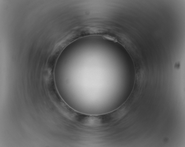 X0000113610327200909251149