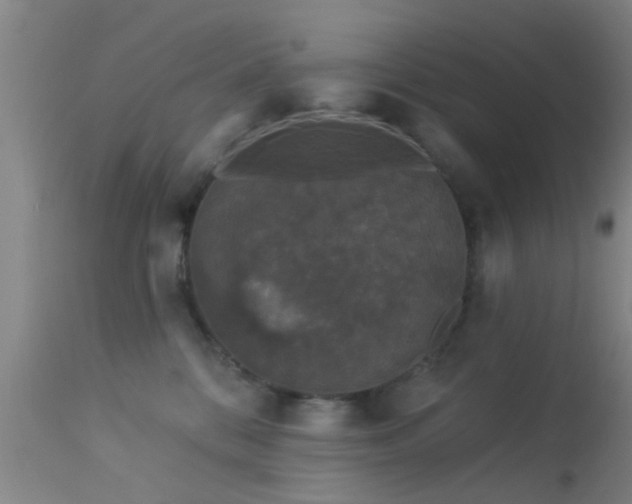 X0000113610328200909251149