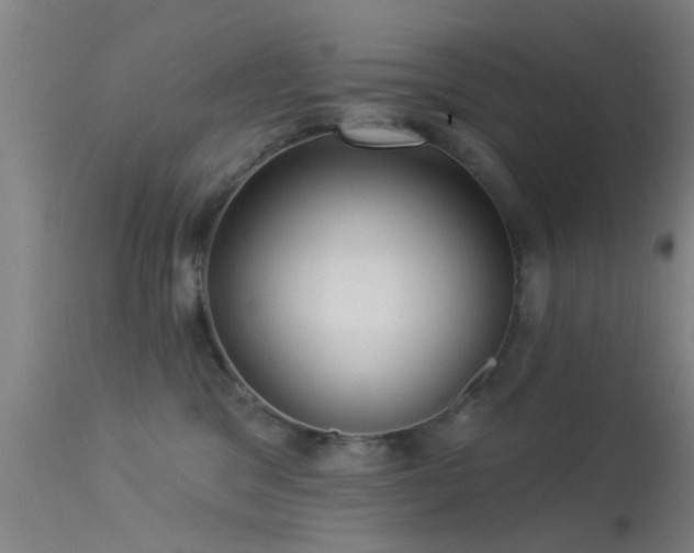 X0000113610329200909251149