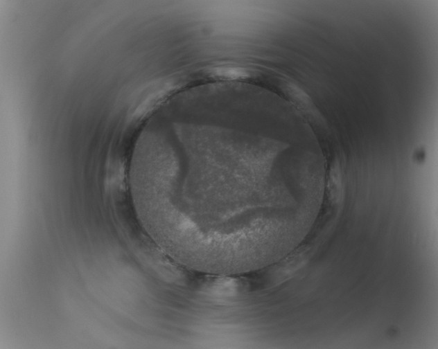 X0000113610330200909251149