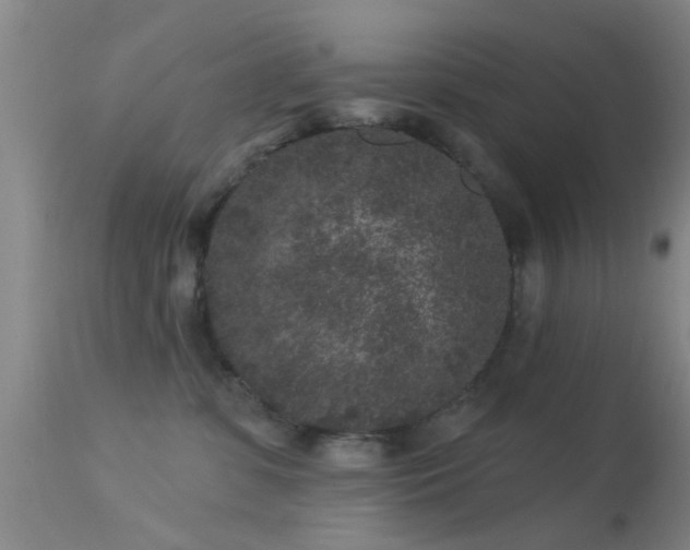 X0000113610331200909251149