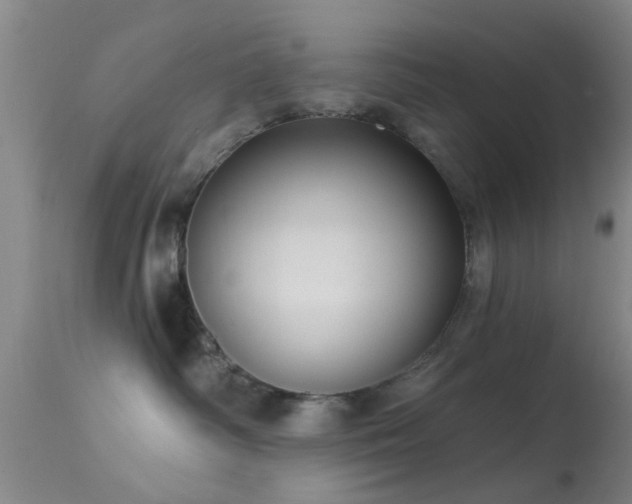 X0000113610334200909251148