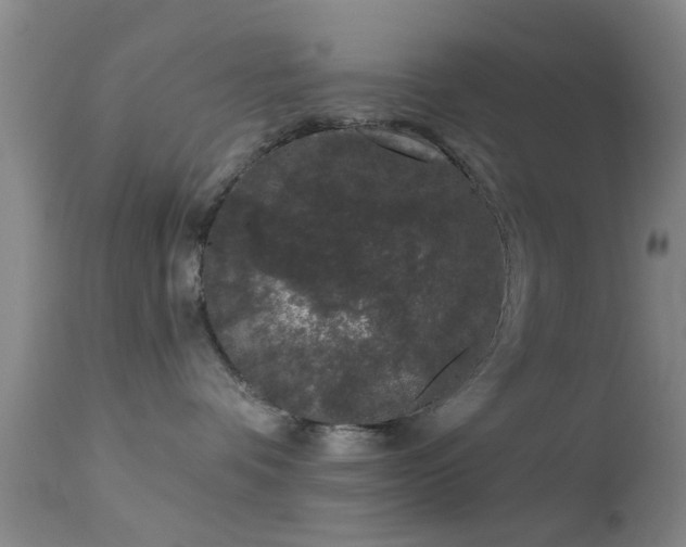 X0000113610336200909251148