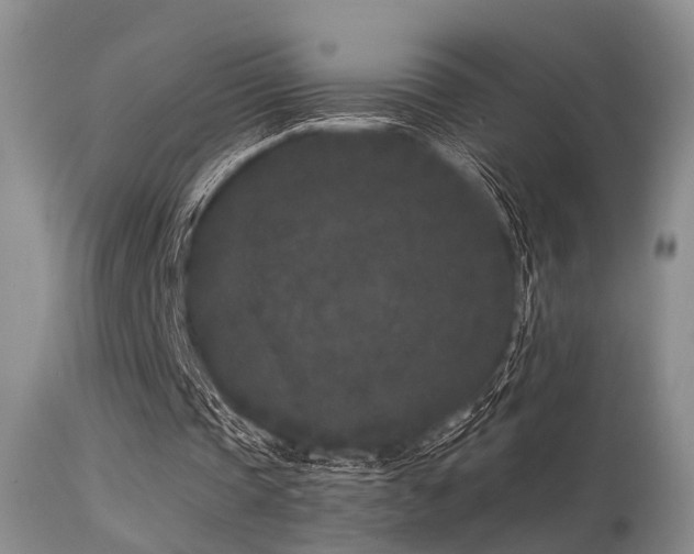 X0000113610337200909251147