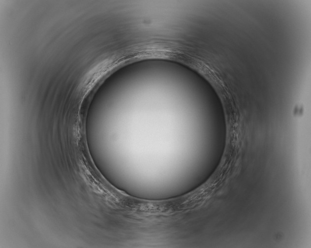 X0000113610338200909251147