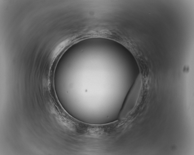 X0000113610340200909251147