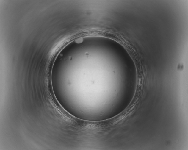 X0000113610341200909251148