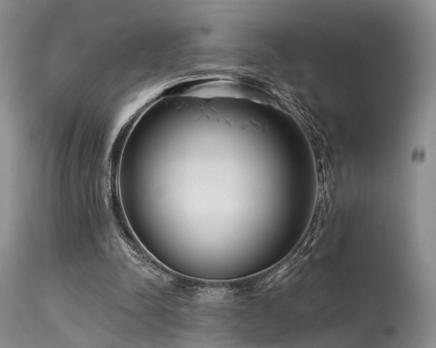 X0000113610342200909251148