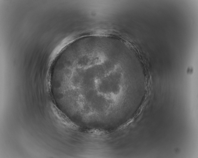 X0000113610343200909251148